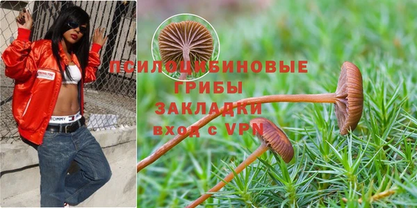 гидра Карталы