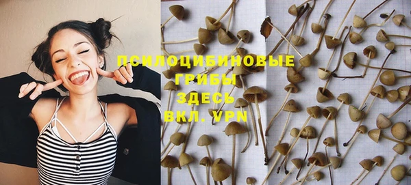 mdma Козловка