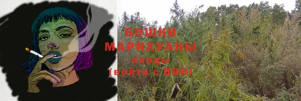 дурь Киреевск