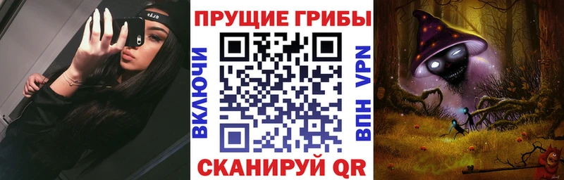Псилоцибиновые грибы Psilocybe  Красноперекопск 